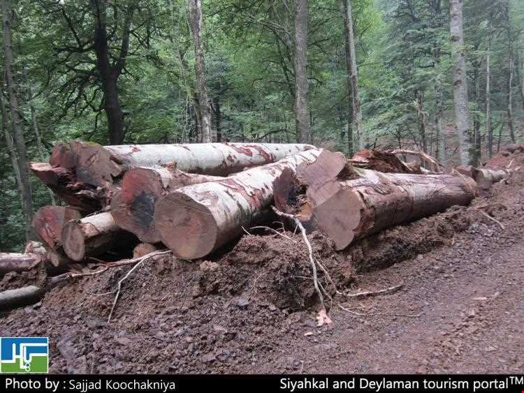 Deylaman forbidden hunting area