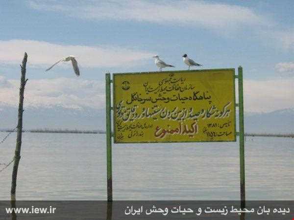 Sorkhangol wildlife refuge