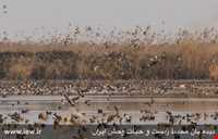 Sorkhangol wildlife refuge