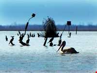 Sorkhangol wildlife refuge