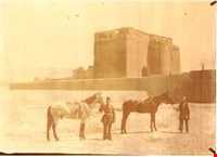 Arg of Tabriz (Alishah)