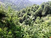 آبشار دودوزن