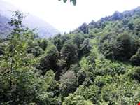 آبشار دودوزن