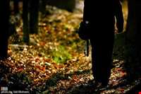 موسیقی آذربایجان شرقی