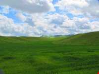 Azizabad hunting prohibited region