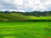 Azizabad hunting prohibited region