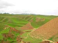 Azizabad hunting prohibited region