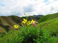 Azizabad hunting prohibited region