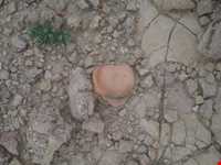 قلعه شاداب ( کلاگت )