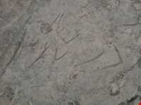 قلعه شاداب ( کلاگت )