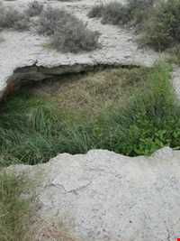 قلعه شاداب ( کلاگت )