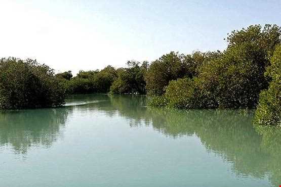 منطقه حفاظت شده حرا رود گز