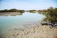 منطقه حفاظت شده حرا رود گز