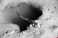 منطقه حفاظت شده حرا رود گز