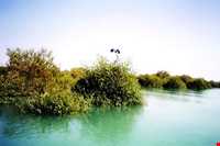 منطقه حفاظت شده حرا رود گز