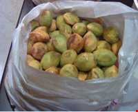 روستای کوهستک