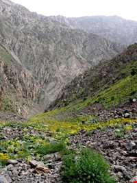 دره کهمان ( تخت شاه )