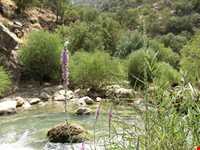 آبشار کاکارضا