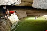 Bouchir waterfall and spring