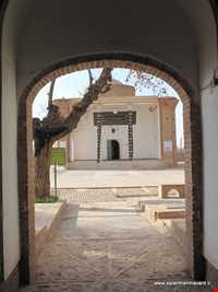 روستای پاده