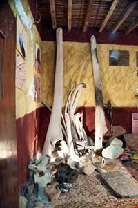 موزه و نگارخانه دکتر احمد نادعلیان