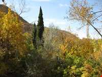 روستای باب ندان