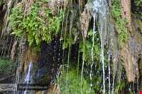 آبشار فدامی