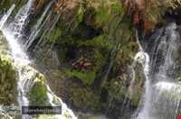 آبشار فدامی