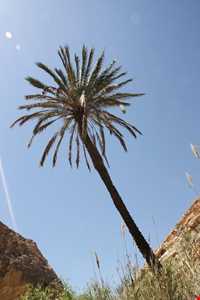 Kaseh roud waterfall(forg)