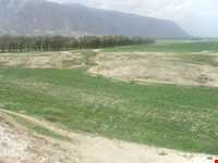 روستای کاریان