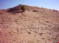 روستای کاریان