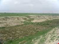 روستای کاریان