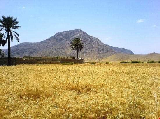 منطقه تاریخی فهلیان