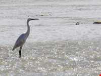 منطقه تاریخی فهلیان