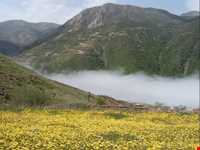 Haji Sheykh Mousa Waterfall