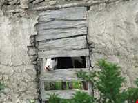Haji Sheykh Mousa Waterfall