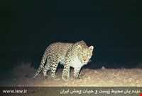 Bafgh protected area