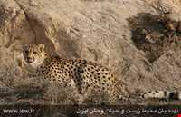 Bafgh protected area