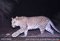 Bafgh protected area