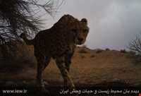 Bafgh protected area