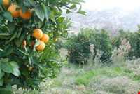 منطقه گنبکی