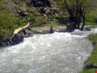 سفید کوه کوچک