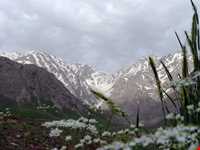 سفید کوه کوچک