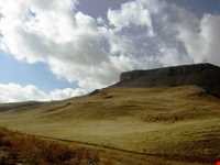 سفید کوه کوچک