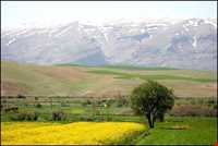 سفید کوه کوچک