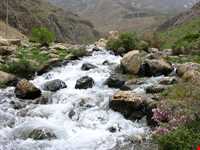 سفید کوه کوچک