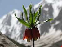 Jonoun peak of mountain