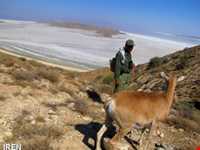 منطقه حفاظت شده اشترانکوه