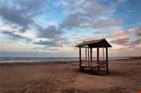 پل چوبی کیاشهر