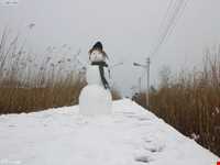 پل چوبی کیاشهر